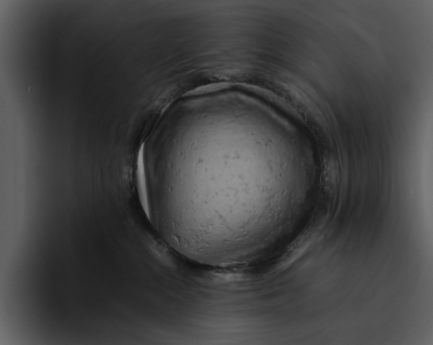 X0000095690284200801291223