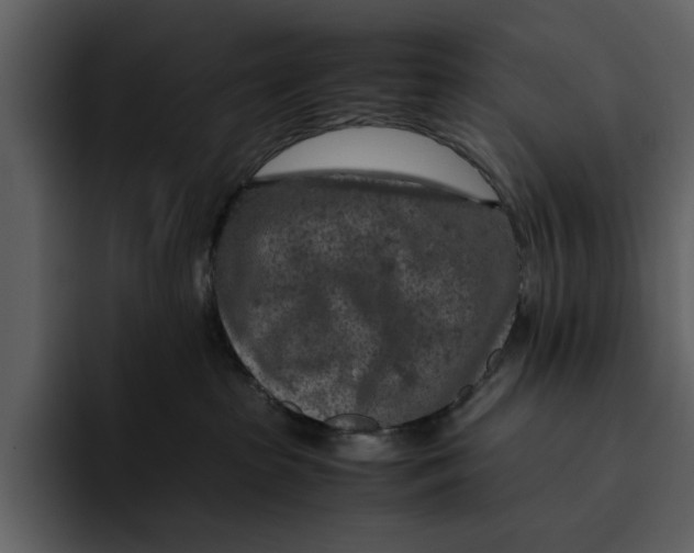 X0000095690285200801291223