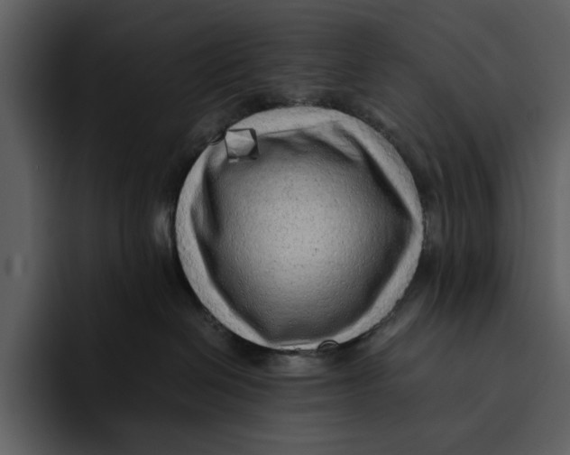 X0000095690286200801291223