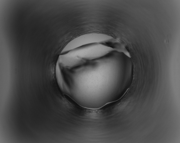 X0000095690288200801291223