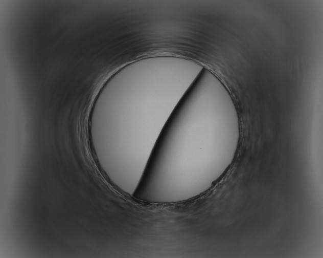 X0000095690289200801291223