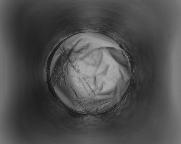 X0000095690290200801291223