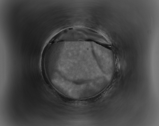 X0000095690292200801291222