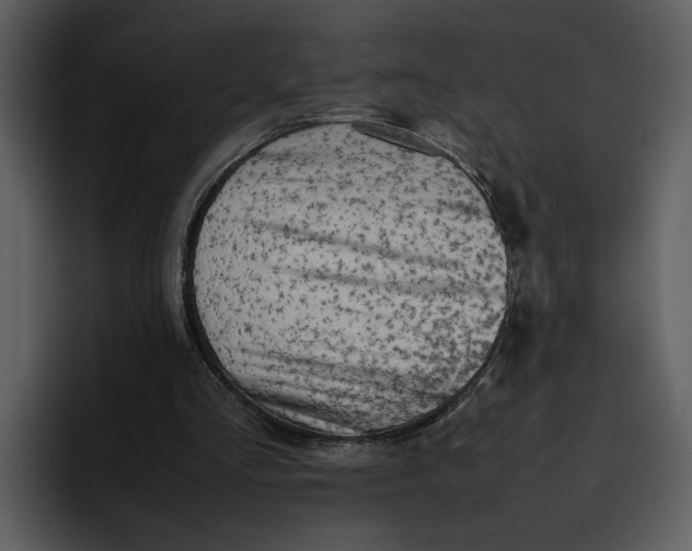 X0000095690293200801291222