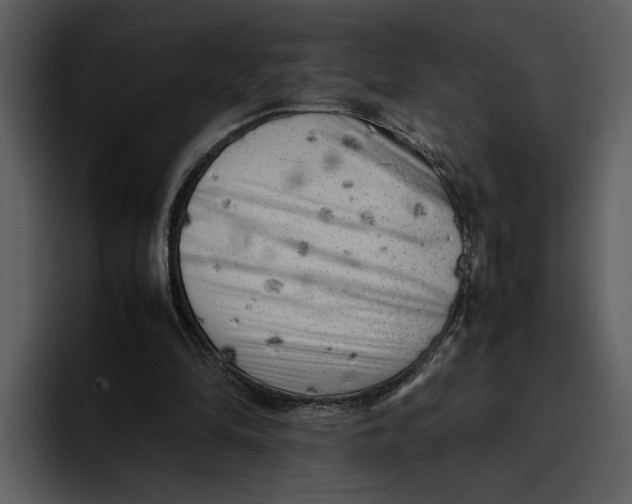 X0000095690294200801291222