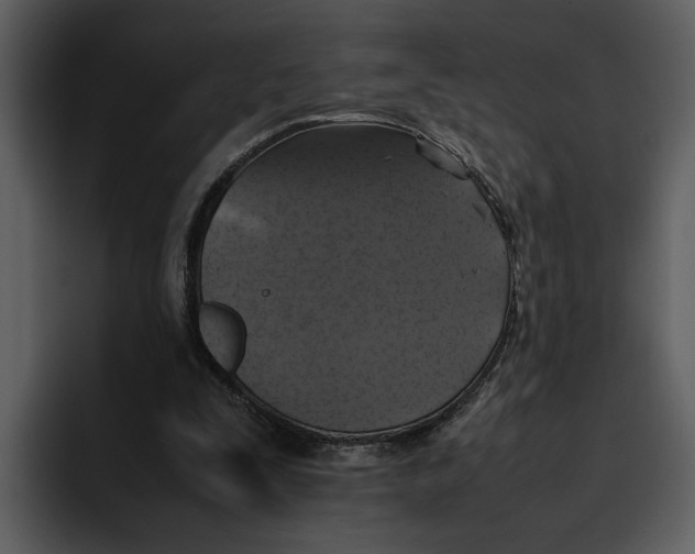 X0000095690295200801291222