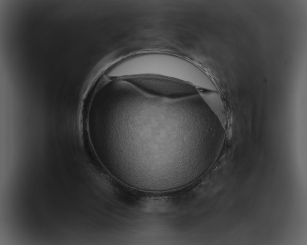 X0000095690296200801291222