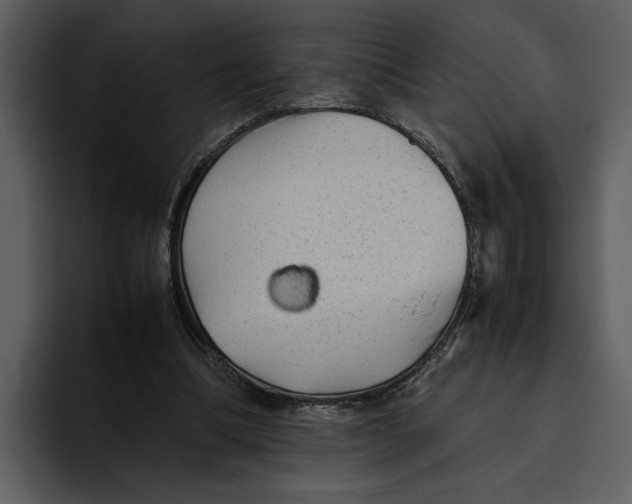 X0000095690298200801291222