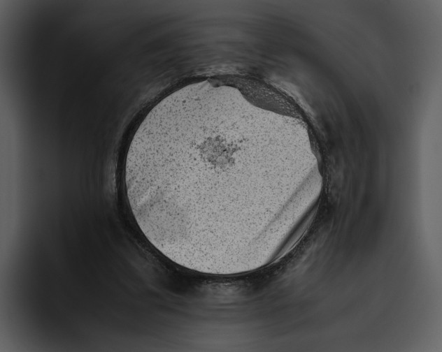 X0000095690299200801291222