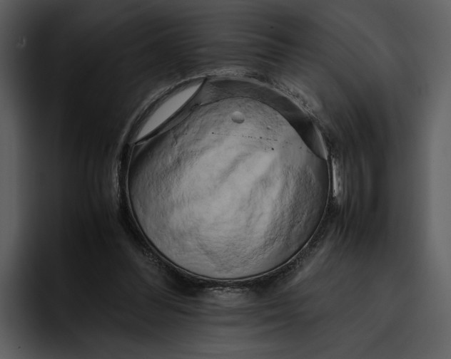 X0000095690300200801291222