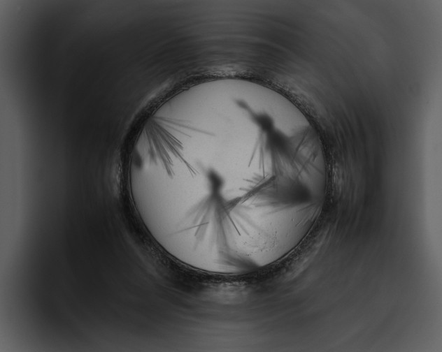 X0000095690304200801291222