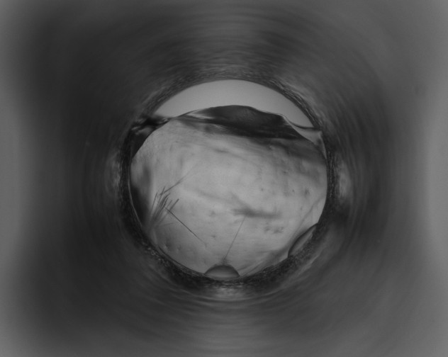 X0000095690308200801291222