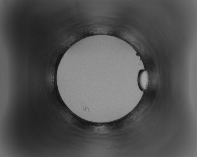 X0000095690309200801291222