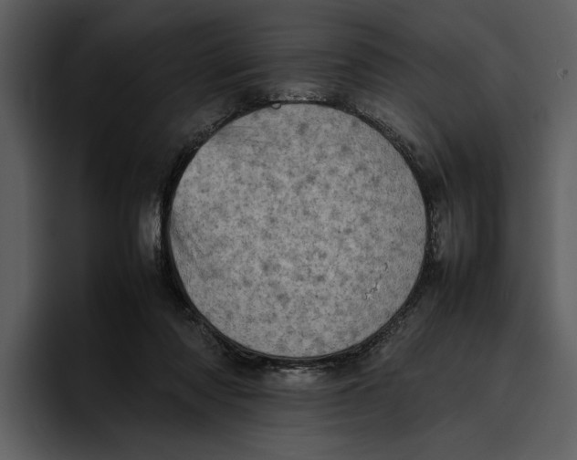 X0000095690310200801291222