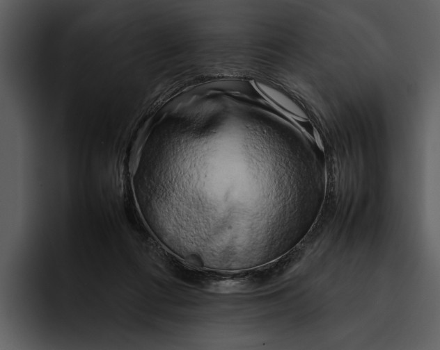 X0000095690312200801291222