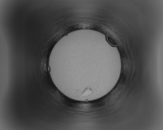 X0000095690313200801291222