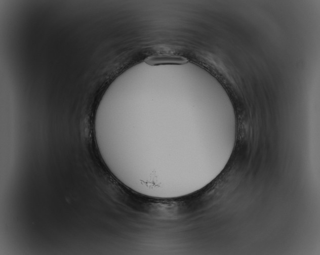 X0000095690317200801291222