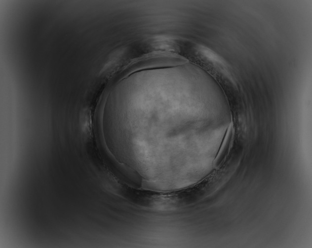 X0000095690320200801291222