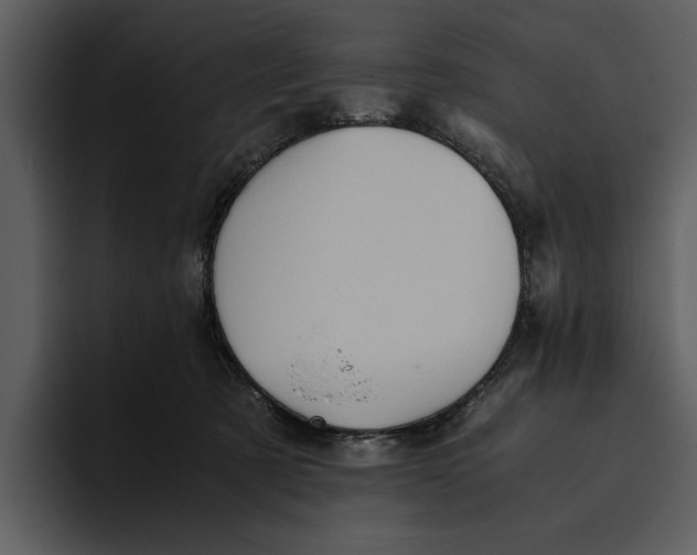 X0000095690321200801291222