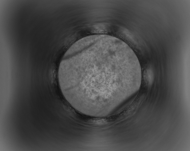 X0000095690322200801291222