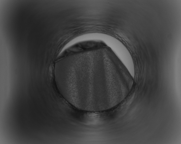 X0000095690325200801291222