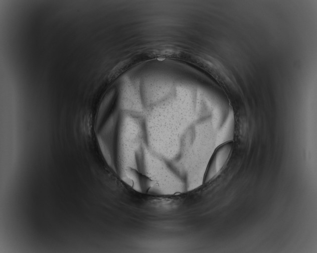 X0000095690326200801291222