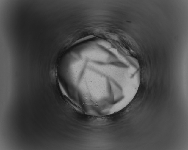 X0000095690329200801291222