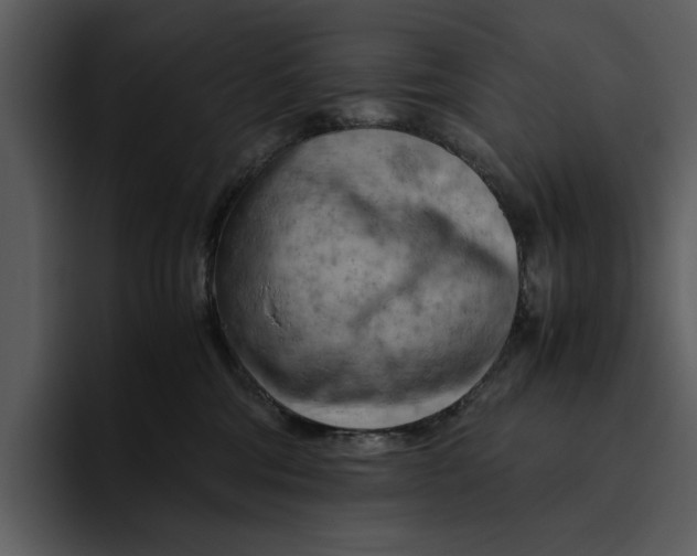 X0000095690330200801291222