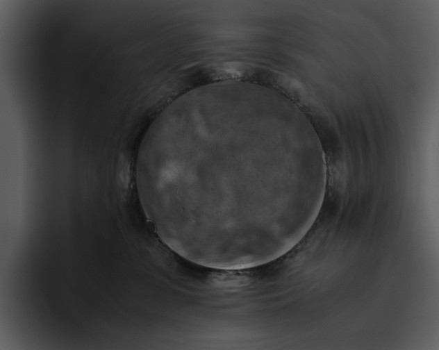 X0000095690331200801291222