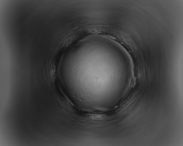 X0000095690332200801291222