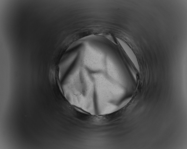 X0000095690333200801291222