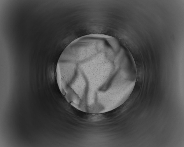 X0000095690334200801291222