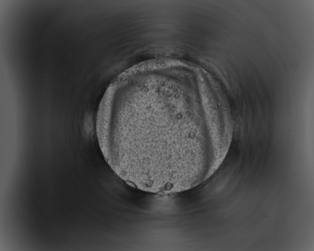 X0000095690335200801291222