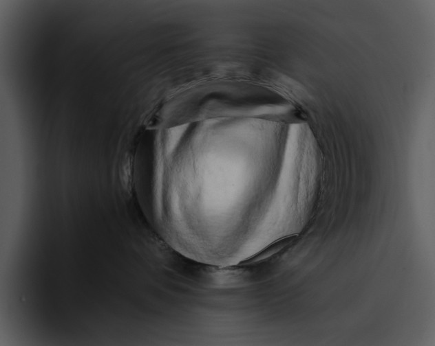 X0000095690336200801291222