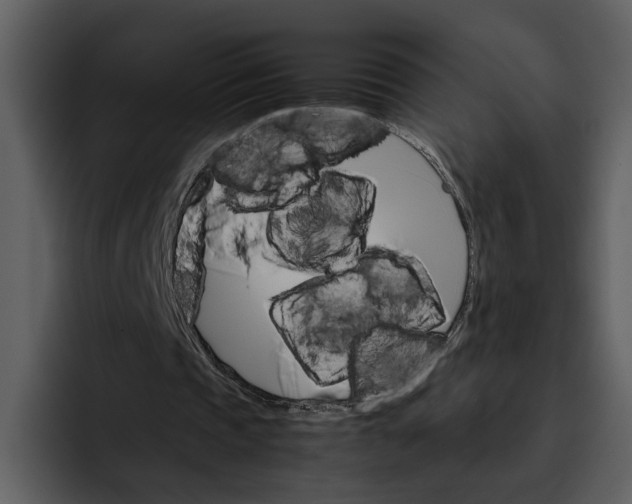 X0000095690337200801291221