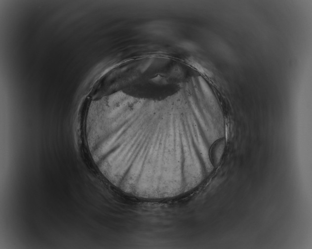 X0000095690339200801291221