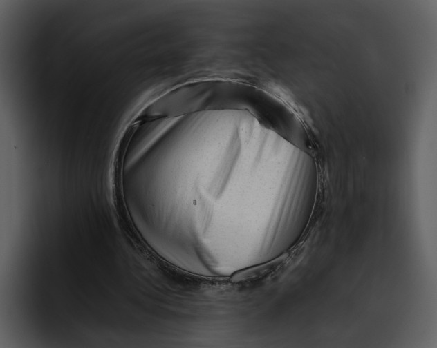 X0000095690340200801291221