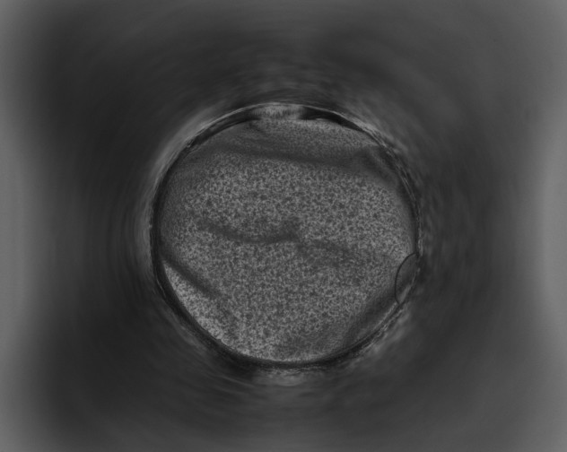 X0000095690341200801291221