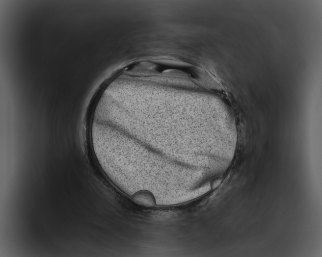 X0000095690342200801291221