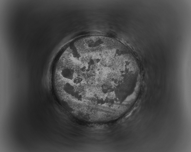 X0000095690343200801291221