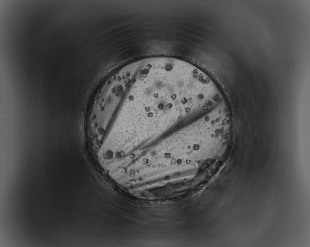 X0000095690345200801291221