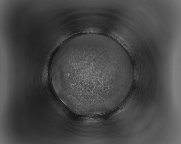 X0000095690347200801291221