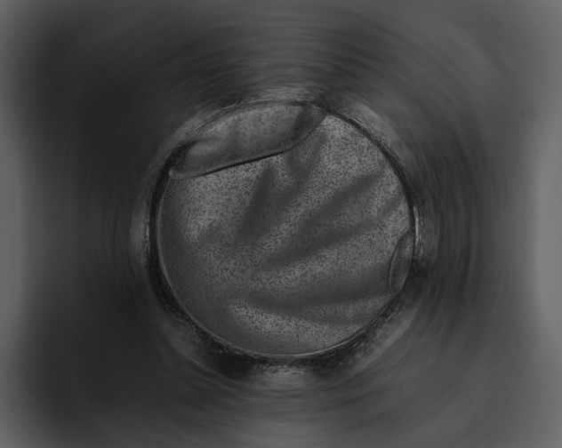 X0000095690348200801291221