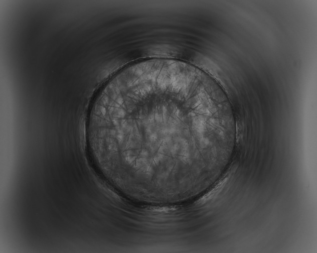 X0000095690349200801291221