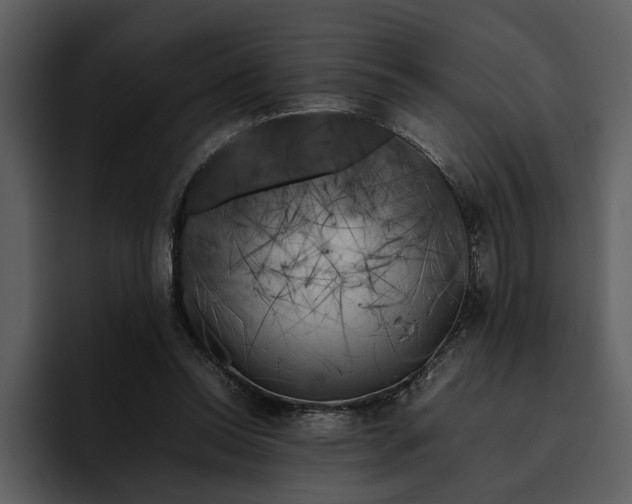 X0000095690350200801291221