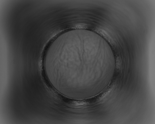 X0000095690351200801291221