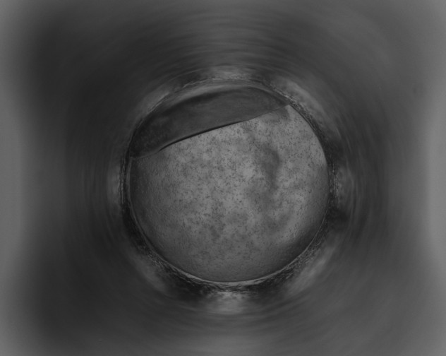 X0000095690352200801291221