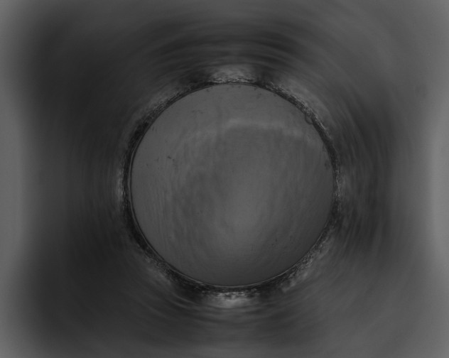 X0000095690353200801291221