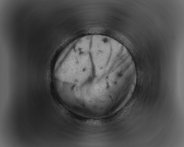 X0000095690354200801291222