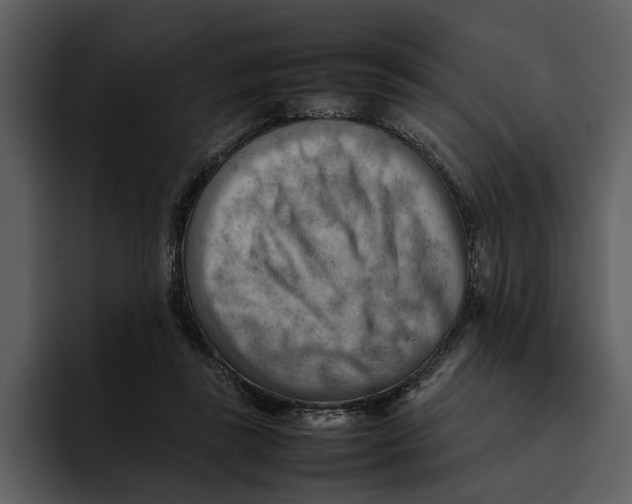 X0000095690355200801291222